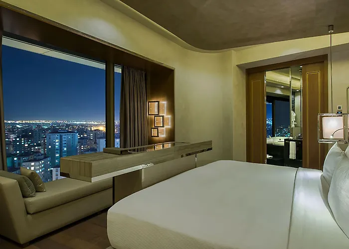 Hotel Hilton Kozyatagi 5*