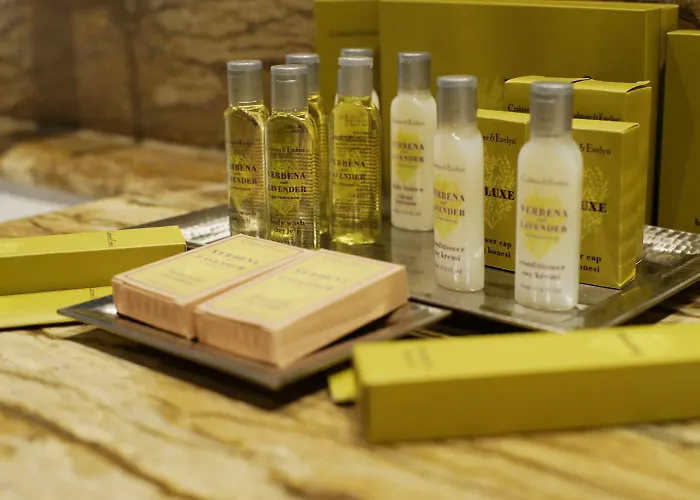 Hotel Hilton Kozyatagi 5*