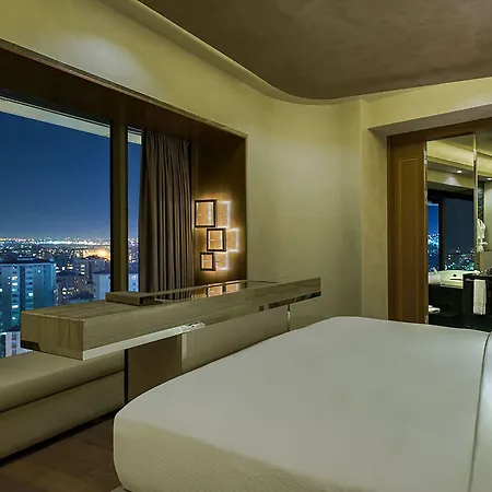 Hotel Hilton Kozyatagi 5*